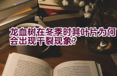 龙血树在冬季时其叶片为何会出现干裂现象？