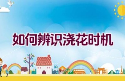 如何辨识浇花时机