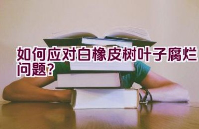 如何应对白橡皮树叶子腐烂问题？