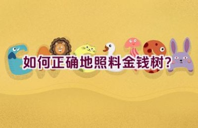 如何正确地照料金钱树？