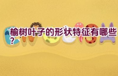 榆树叶子的形状特征有哪些？