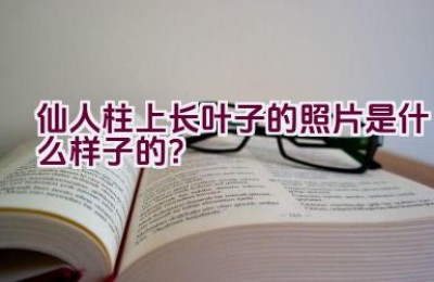 仙人柱上长叶子的照片是什么样子的？