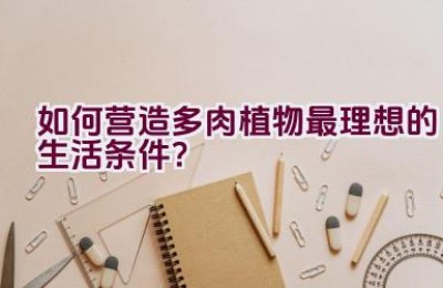 如何营造多肉植物最理想的生活条件？