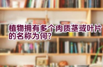 植物拥有多个肉质茎或叶片的名称为何？