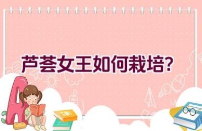 芦荟女王如何栽培？