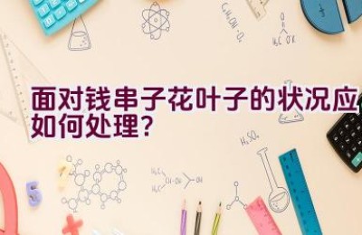 面对钱串子花叶子的状况应如何处理？