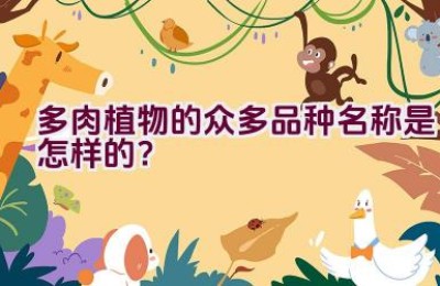 多肉植物的众多品种名称是怎样的？