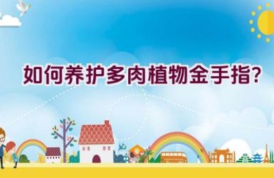 如何养护多肉植物金手指？