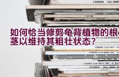 如何恰当修剪龟背植物的根茎以维持其粗壮状态？