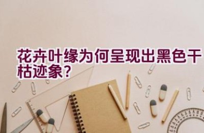 花卉叶缘为何呈现出黑色干枯迹象？