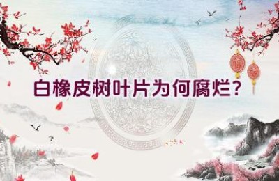 白橡皮树叶片为何腐烂？