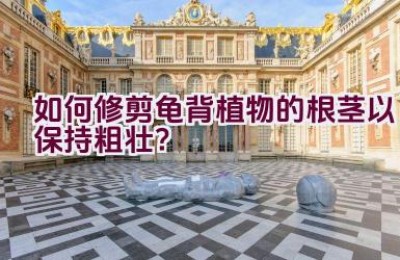 如何修剪龟背植物的根茎以保持粗壮？