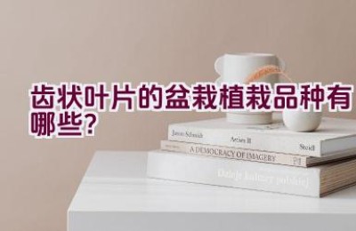 齿状叶片的盆栽植栽品种有哪些？