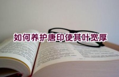 如何养护唐印使其叶宽厚