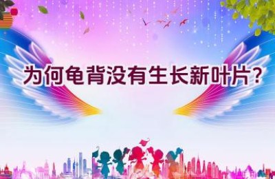为何龟背没有生长新叶片？
