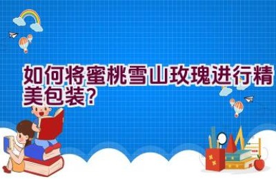 如何将蜜桃雪山玫瑰进行精美包装？