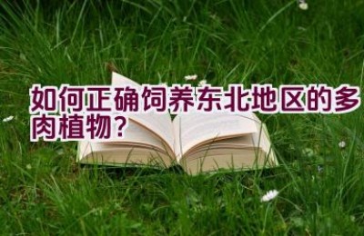 如何正确饲养东北地区的多肉植物？