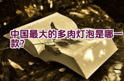 中国最大的多肉灯泡是哪一款？