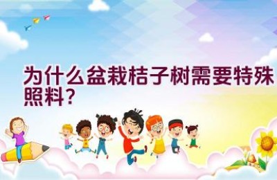 为什么盆栽桔子树需要特殊照料？