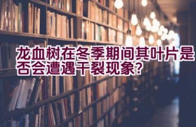 龙血树在冬季期间其叶片是否会遭遇干裂现象？