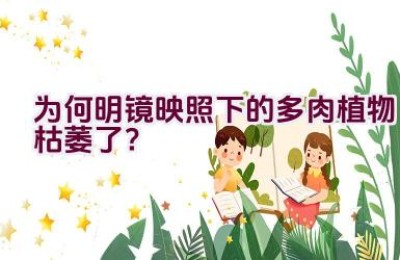 为何明镜映照下的多肉植物枯萎了？