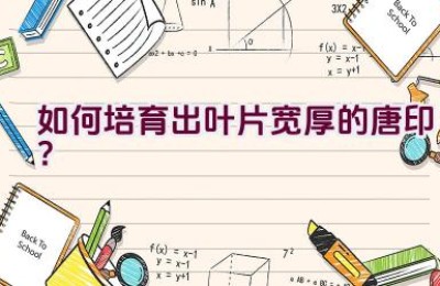 如何培育出叶片宽厚的唐印？