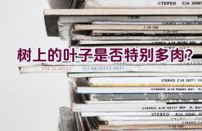 树上的叶子是否特别多肉？