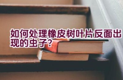 如何处理橡皮树叶片反面出现的虫子？