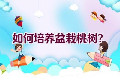 如何培养盆栽桃树？