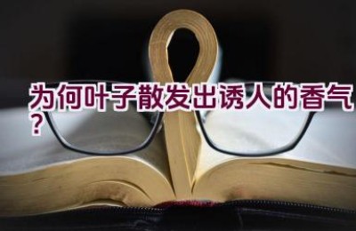 为何叶子散发出诱人的香气？