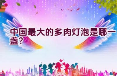 中国最大的多肉灯泡是哪一盏？
