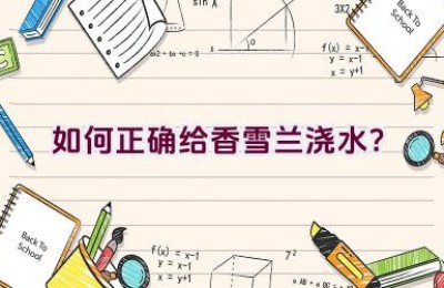 如何正确给香雪兰浇水？