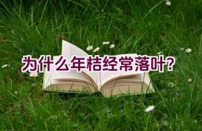 为什么年桔经常落叶？