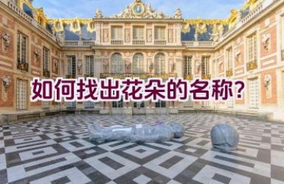 如何找出花朵的名称？