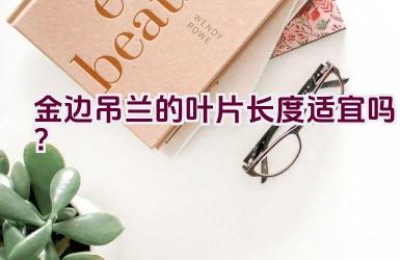 金边吊兰的叶片长度适宜吗？