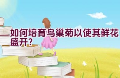 如何培育鸟巢菊以使其鲜花盛开？