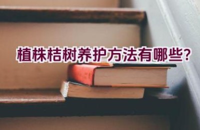 植株桔树养护方法有哪些？