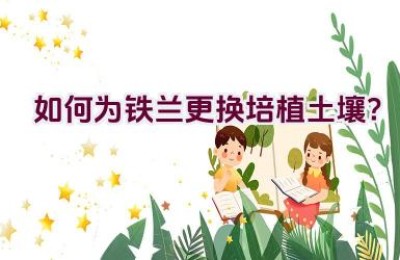 如何为铁兰更换培植土壤？