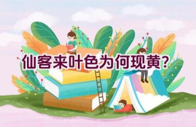 仙客来叶色为何现黄？