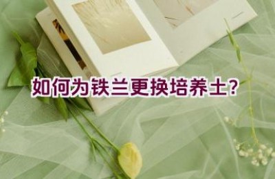 如何为铁兰更换培养土？