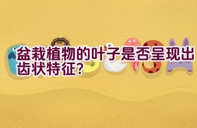 盆栽植物的叶子是否呈现出齿状特征？