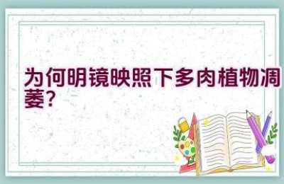 为何明镜映照下多肉植物凋萎？