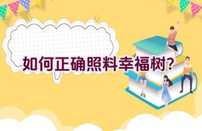 如何正确照料幸福树？