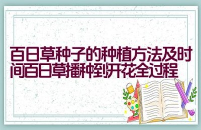 百日草种子的种植方法及时间（百日草播种到开花全过程）