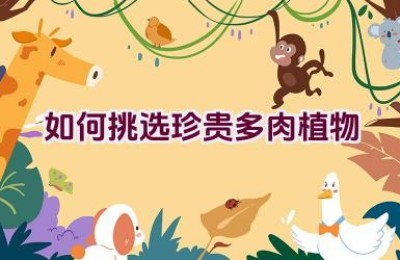 如何挑选珍贵多肉植物