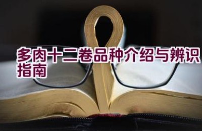多肉十二卷品种介绍与辨识指南