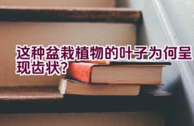 这种盆栽植物的叶子为何呈现齿状？