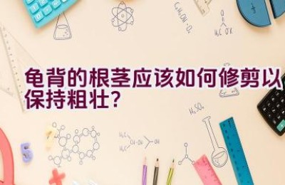 龟背的根茎应该如何修剪以保持粗壮？