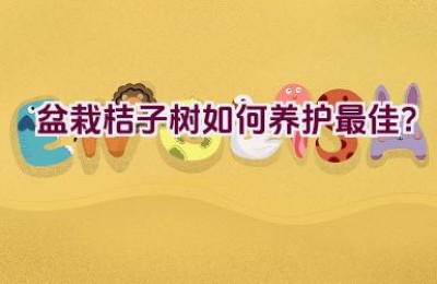 盆栽桔子树如何养护最佳？