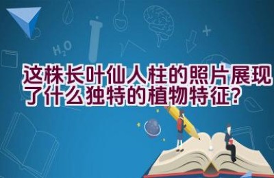 “这株长叶仙人柱的照片展现了什么独特的植物特征？”
